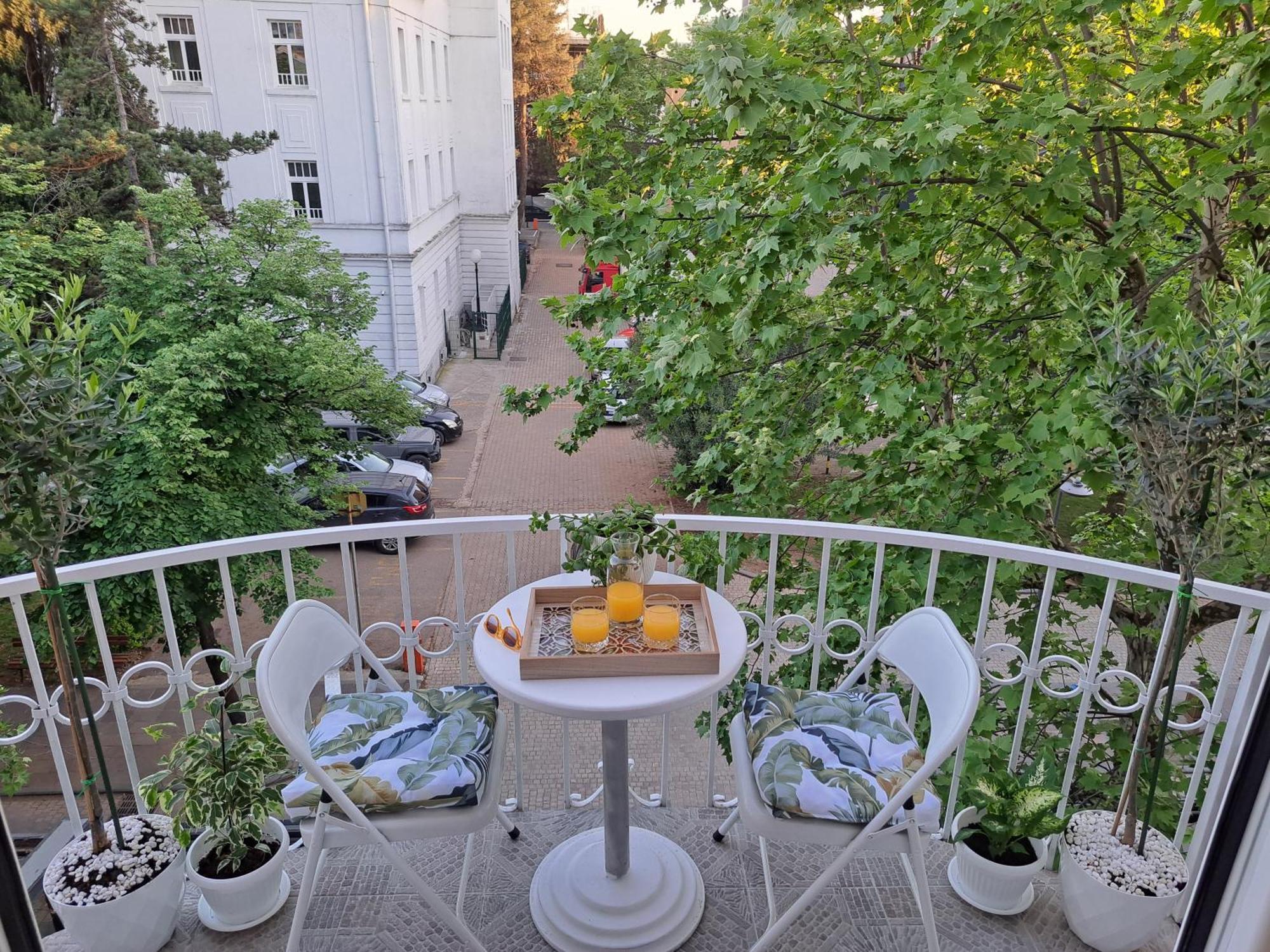 Gallery Apartment Podgoriţa Exterior foto